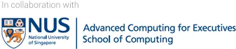 Training Course: Chief Data and AI Officer Programme (NUS)